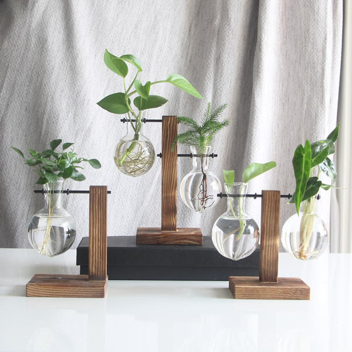 Glass and Wood Table Vase Planter