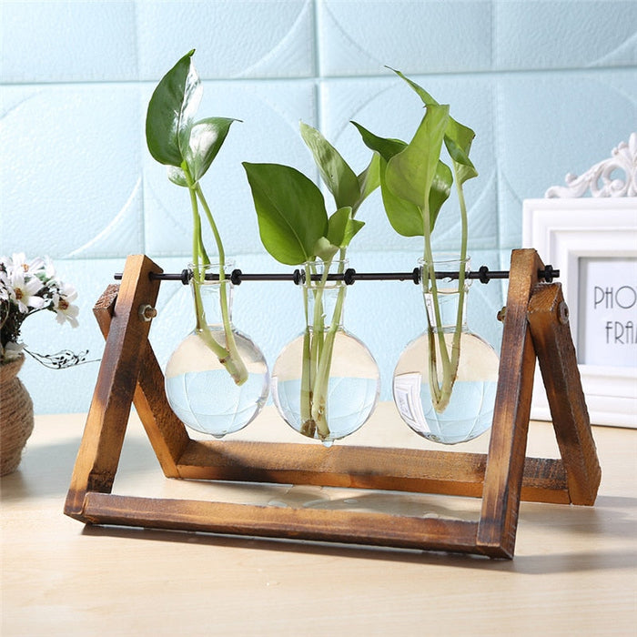 Glass and Wood Table Vase Planter