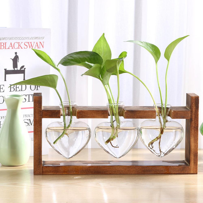 Glass and Wood Table Vase Planter