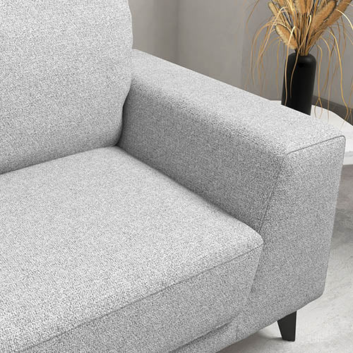 2 Seater Sofa Light Grey Fabric Lounge Set with Solid Wooden Frame Black Legs
