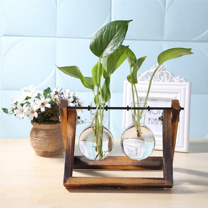 Glass and Wood Table Vase Planter